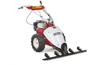 Tielbürger Wiesenmäher t70, Briggs & Stratton 750 OHV