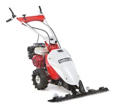 Tielbürger Wiesenmäher t50, Briggs & Stratton 550 OHV