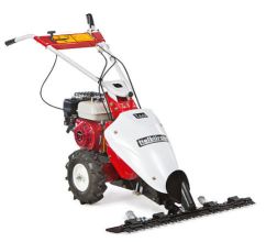 Tielbürger Wiesenmäher t60, Briggs & Stratton 750 OHV